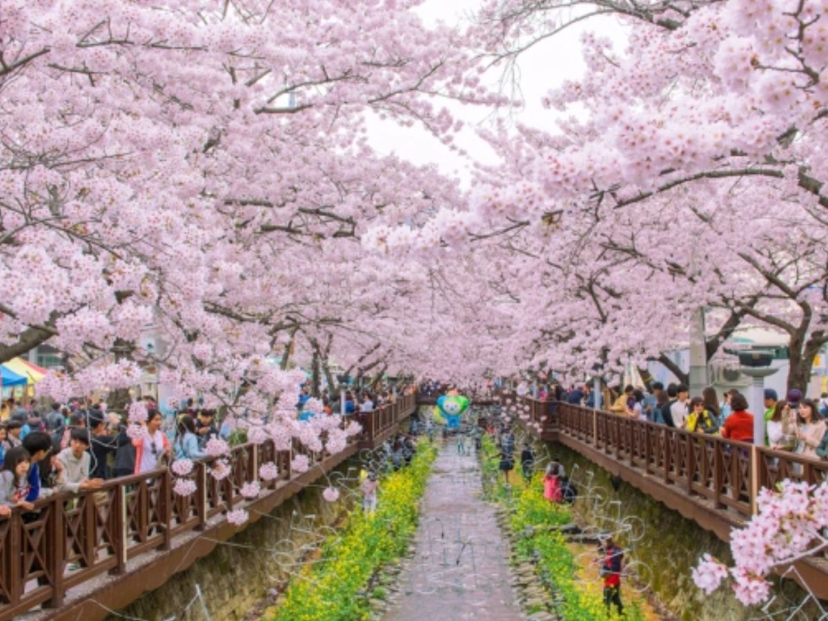 Thiết kế chưa có tên (19)