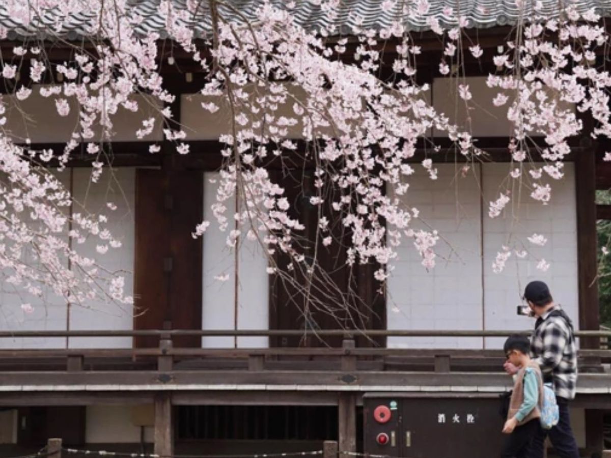 Thiết kế chưa có tên (22)